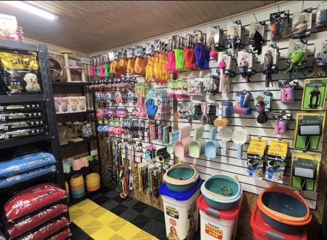 Pared de accesorios: juguetes, collares y palas